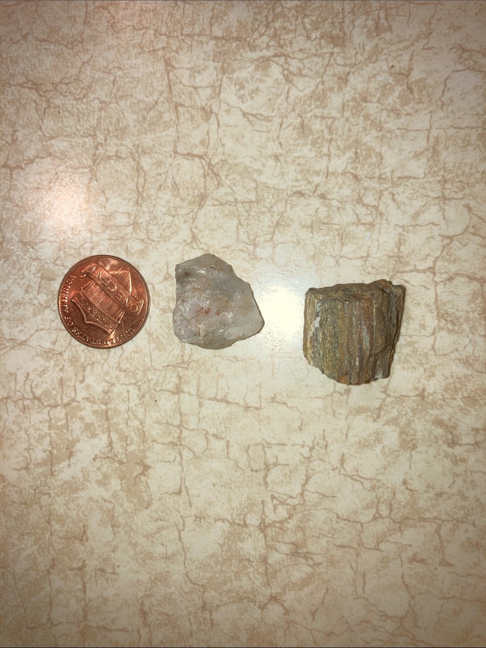 Small Raw Quartz and Petrified wood